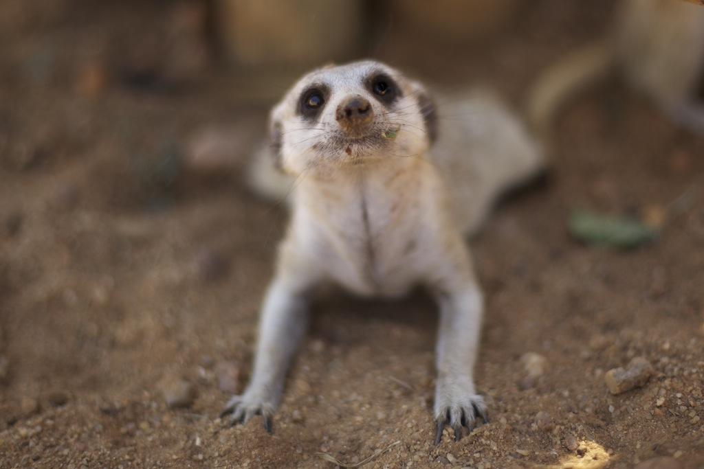 Naankuse Lodge Windhoek Eksteriør bilde