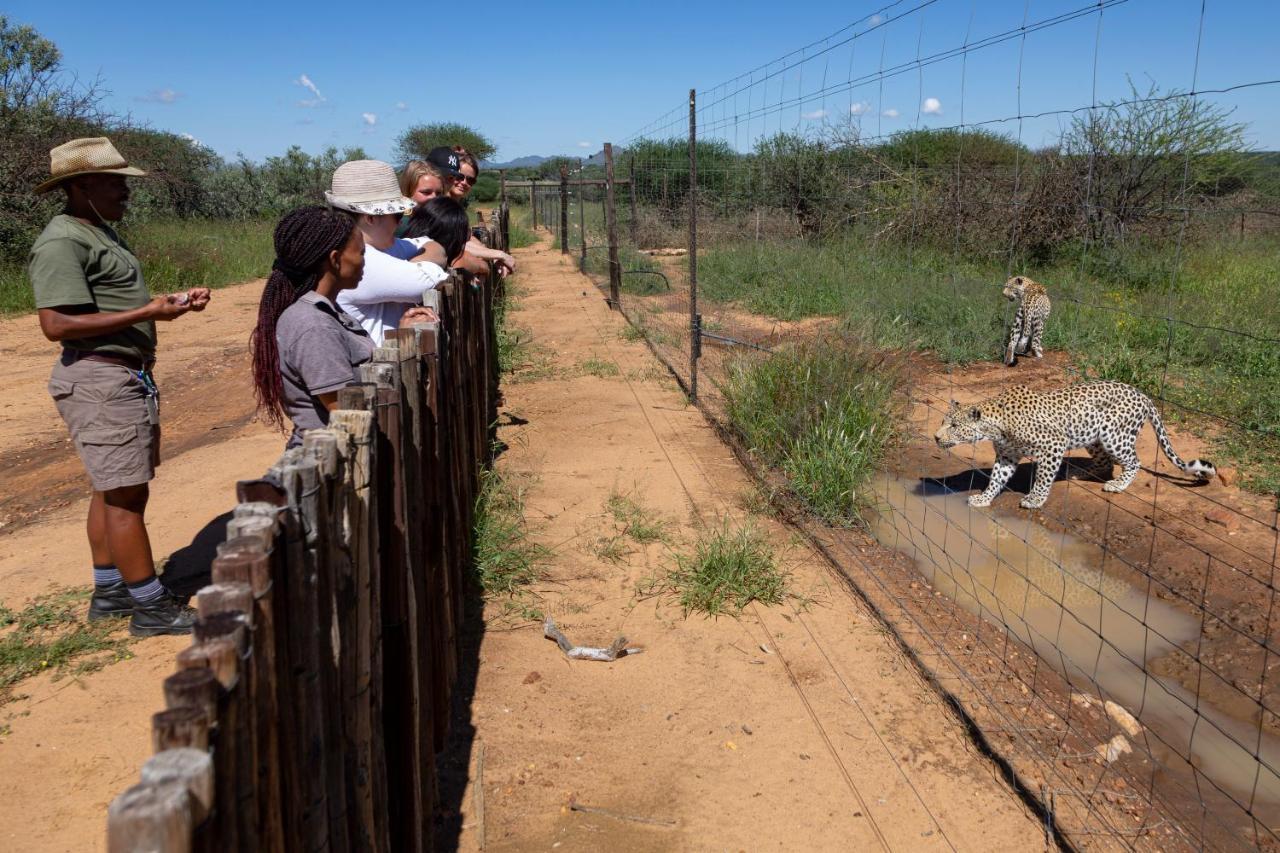 Naankuse Lodge Windhoek Eksteriør bilde